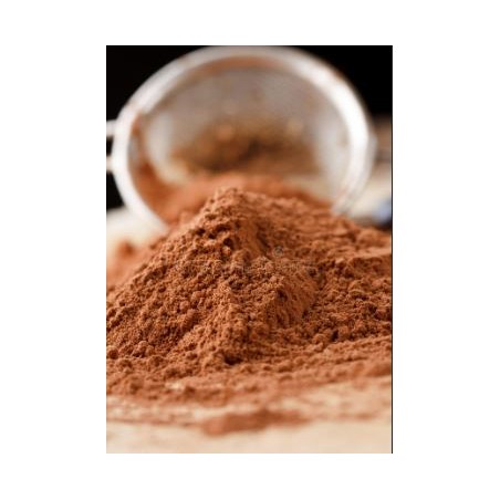 Cacao en poudre 100gr